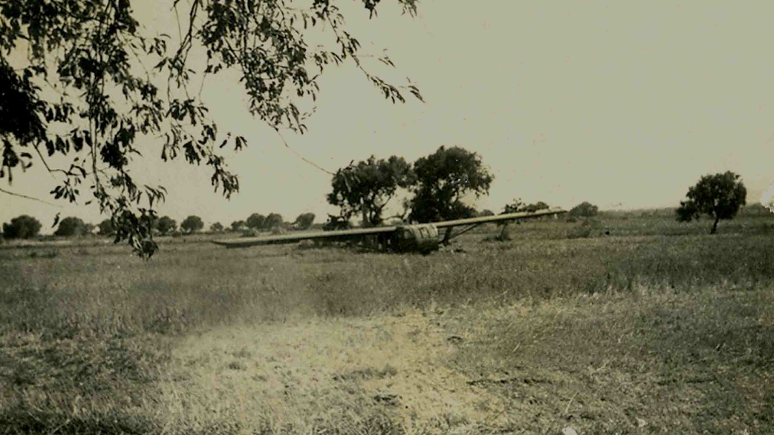 Waco glider in Sicily, 1943.