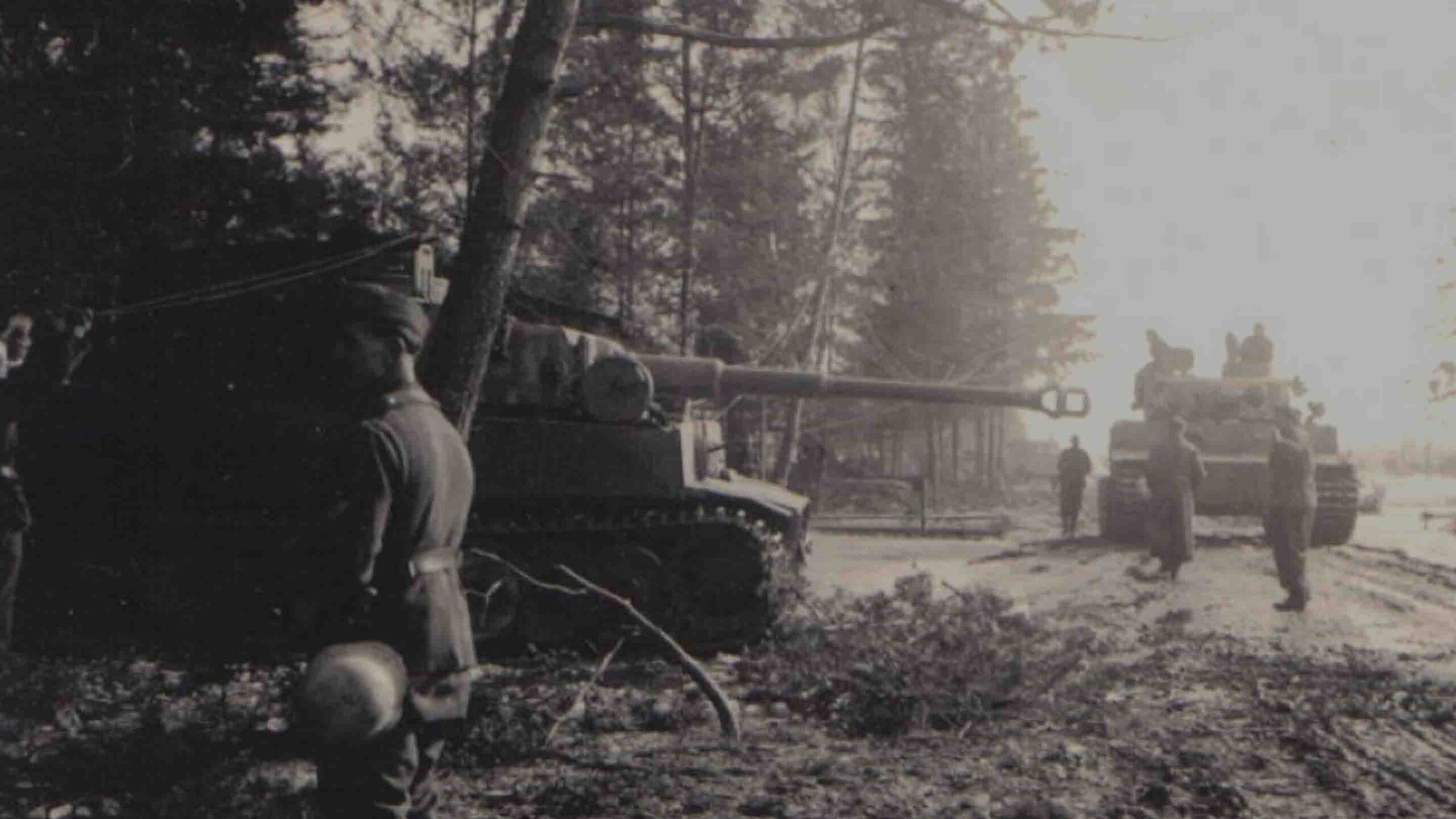 Tiger Tanks concealed amidst trees. Date and location unknown.
