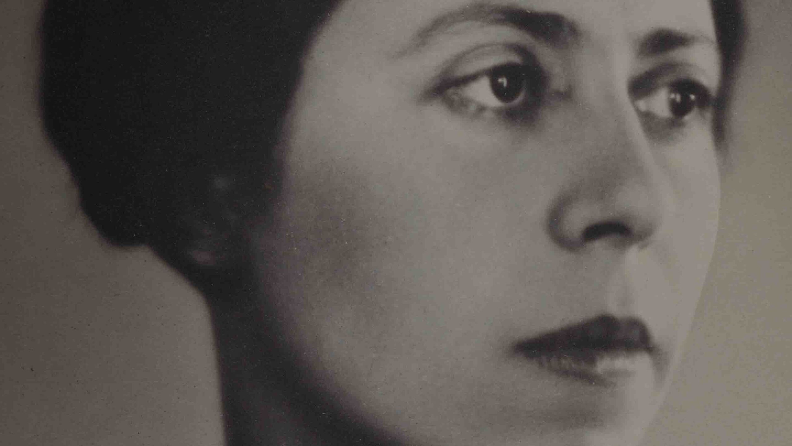 Taken from the cover art of Suite française