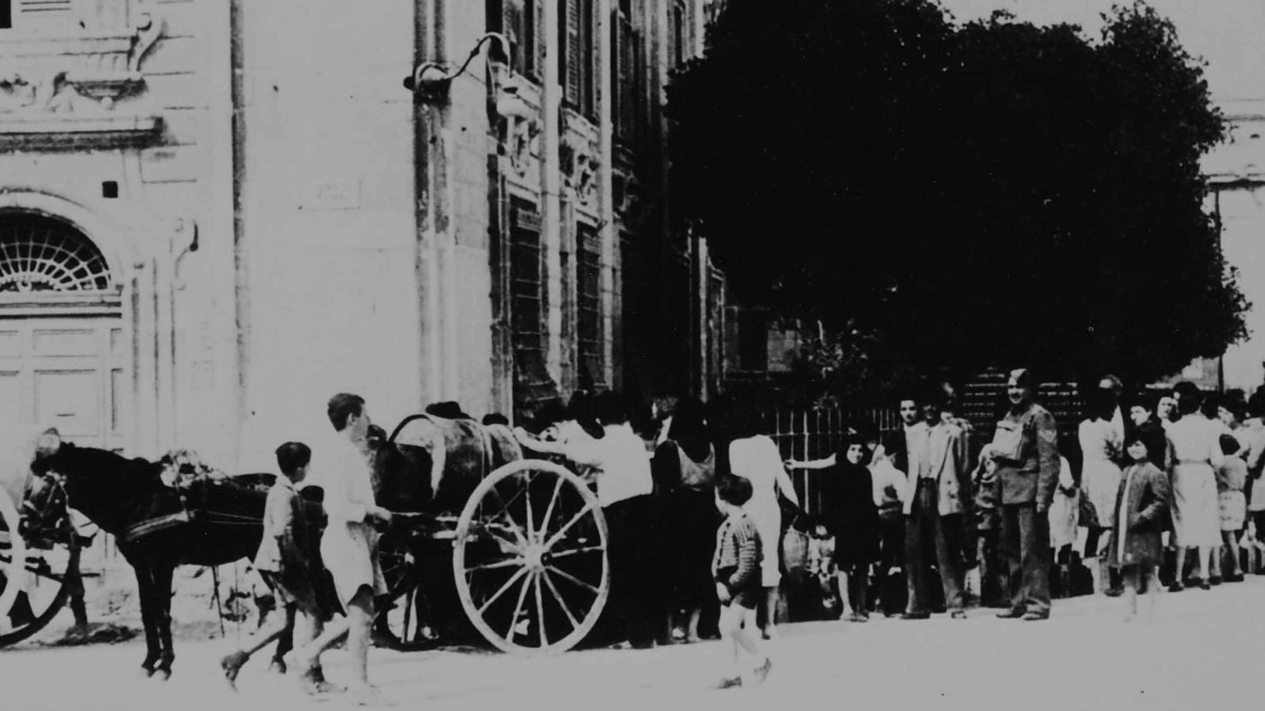 The Siege Of Malta: Starving - banner